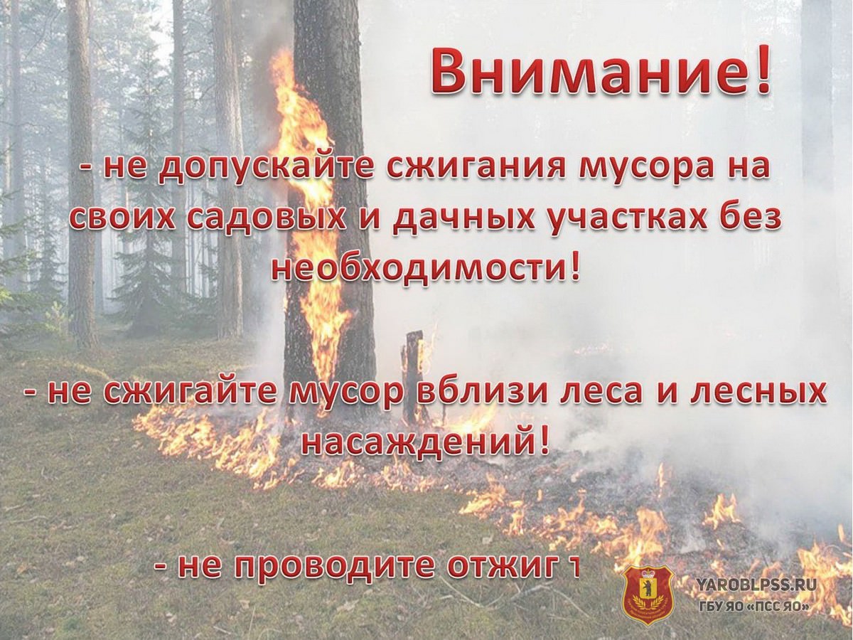 Почему нельзя поджигать. Памятка о запрете сжигания сухой травы. Листовки по пожарной безопасности в лесах.
