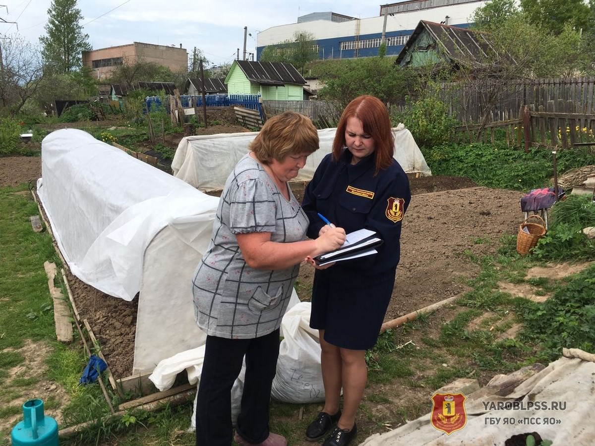 Погода в данилове на неделю