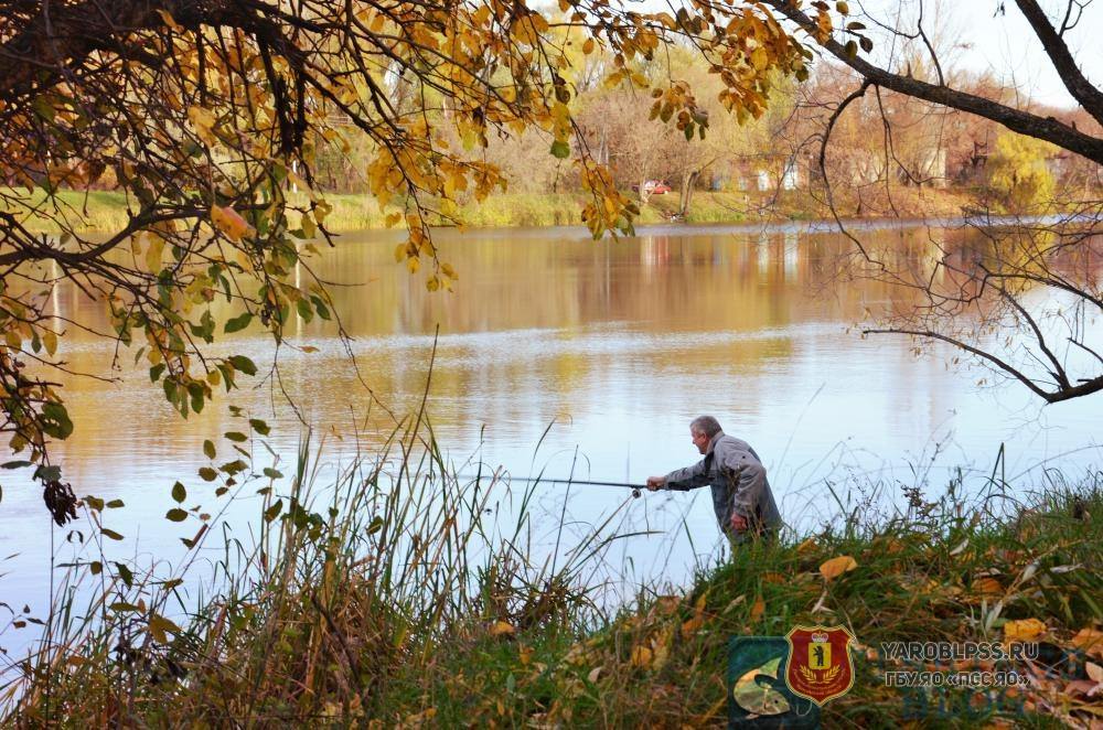 Рыбалка осенью. Осенняя рыбалка на озере. Осень природа рыбалка. Рыбак осенью.